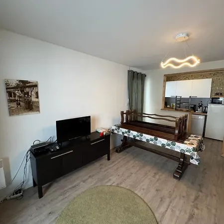 Pic 66 Apartment La Pierre Saint Martin
